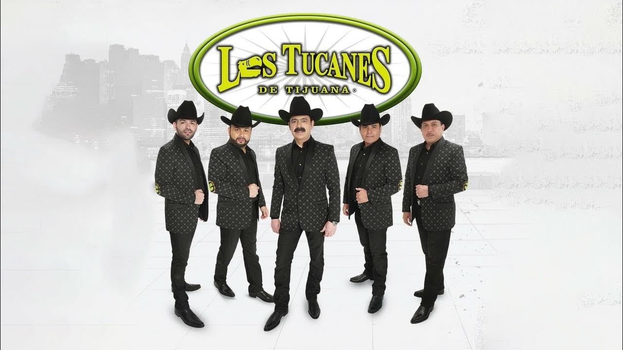 los tucanes de tijuana YouTube