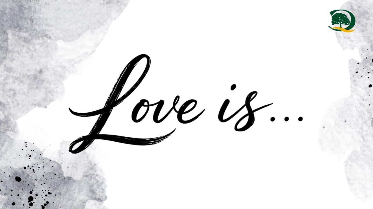 Love is... Colegio Quercus