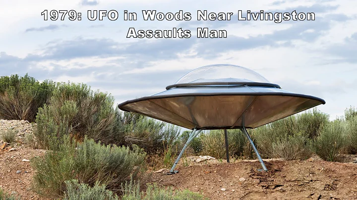 1979: UFO in Woods Near Livingston Assaults Man
