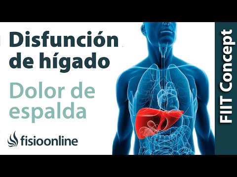 Video: ¿Cómo se siente el dolor de hígado?