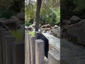 Summer fun at the parks enjoy