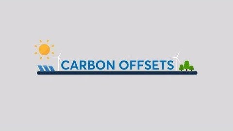 Understanding the Carbon Offset Market