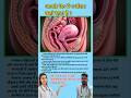 आपके पेट में गर्भाशय कहां रहता है ? Uterus position in abdomen || #viral #uterus #education