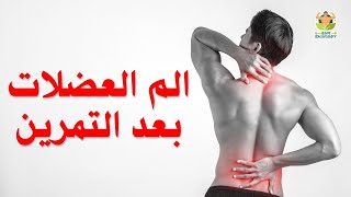 الم ما بعد التمرين و علاقته بالحجم العضلي|عمرو شعراوي