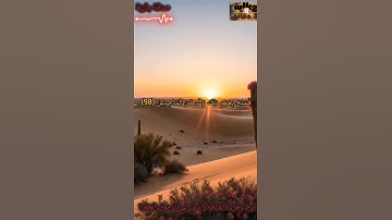 *تدبر عميق في آيات القرآن الكريم — قوة إيمان تكسر القلوب وتغير الحياة!* 🌟📖