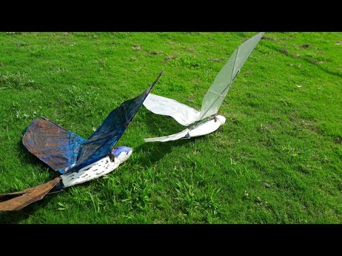 robot bird ,rc bird, rc ornithopter ,mechanical bird - YouTube