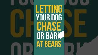 Be BearWise - Headed into bear country