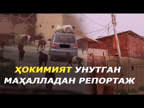 Ҳокимият унутган маҳалладан репортаж