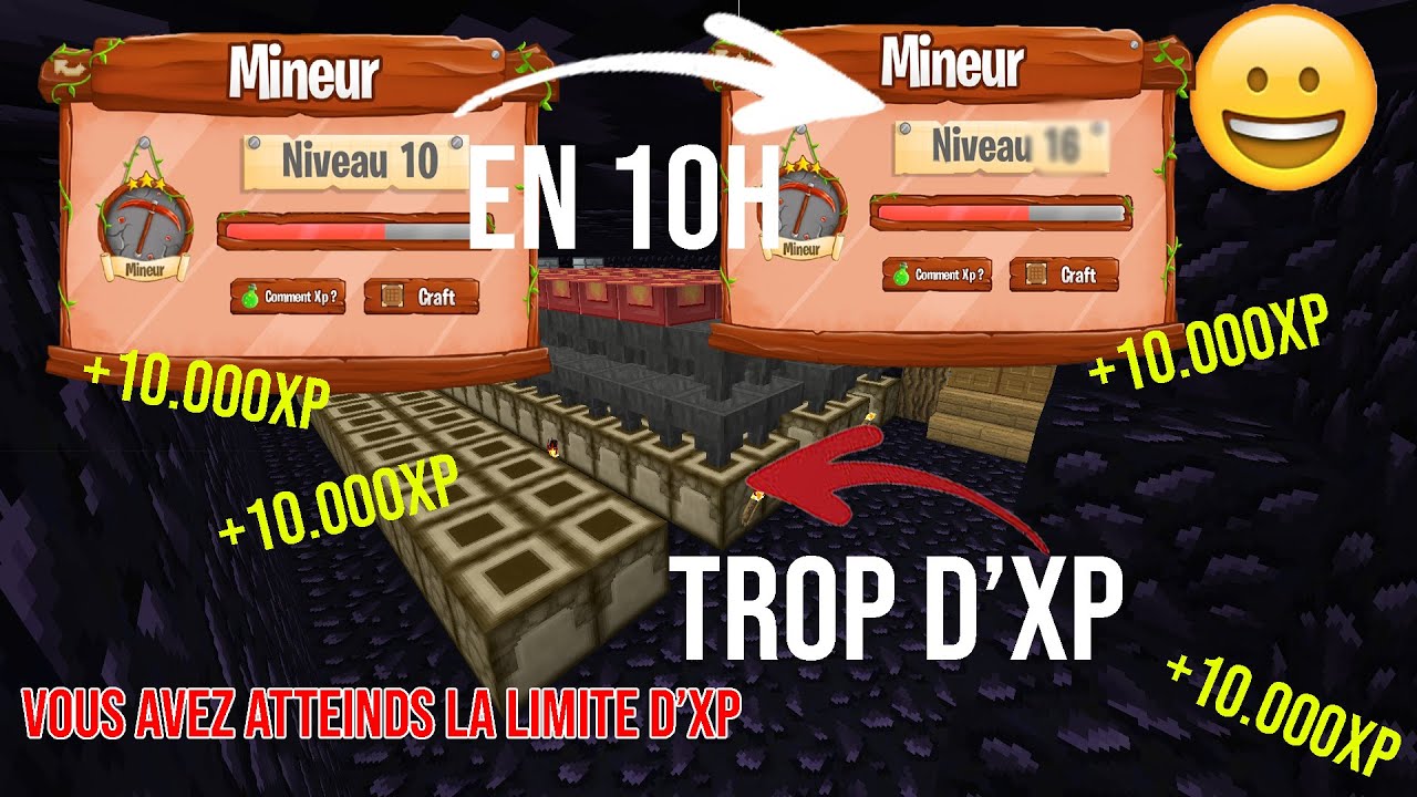 Ma technique pour XP le métier de Mineur sur PALADIUM (c'est SUPER ...