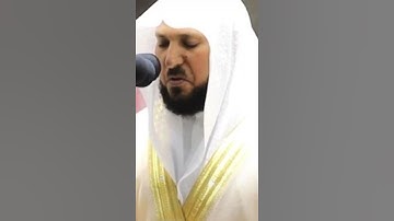 سورة المائدة / القارئ ماهر المعيقلي