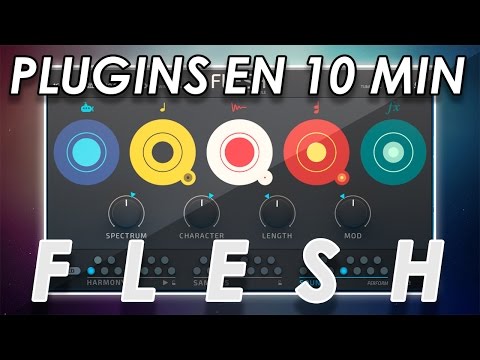 Descubre Flesh en 10 minutos