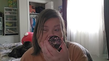 Rolling Project 10 Pan 2024 Update #5