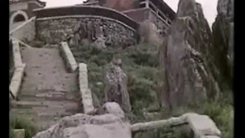 Monkey Magic | Intro