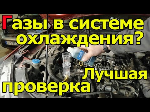 Видео: Как газы попадают в листья и выходят из них?