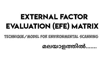 EFE MATRIX