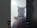 Zakk Wylde: What Black Sabbath Mean to Me