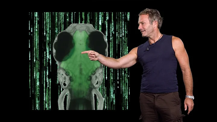 Florian Engert (Harvard) 2: Gain control: neuronal...