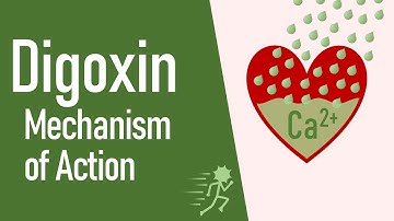 Digoxin - Mechanism of Action