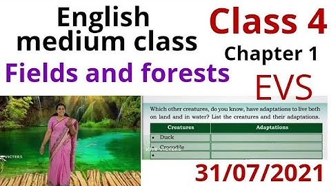 std 4 evs chapter 1 fields and forests complete notes 👍 victers english medium class worksheet