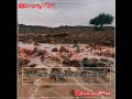 المشاعله قحطان جديد الشاعر محمد بن عايض بن صرير آل مزهر المشعلي المشاعله قحطان جديد الشاعر محمد بن عايض بن صرير آل مزهر المشعلي