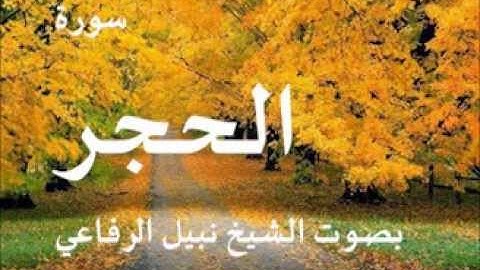 سورة الحجر بصوت الشيخ / نبيل الرفاعي 15