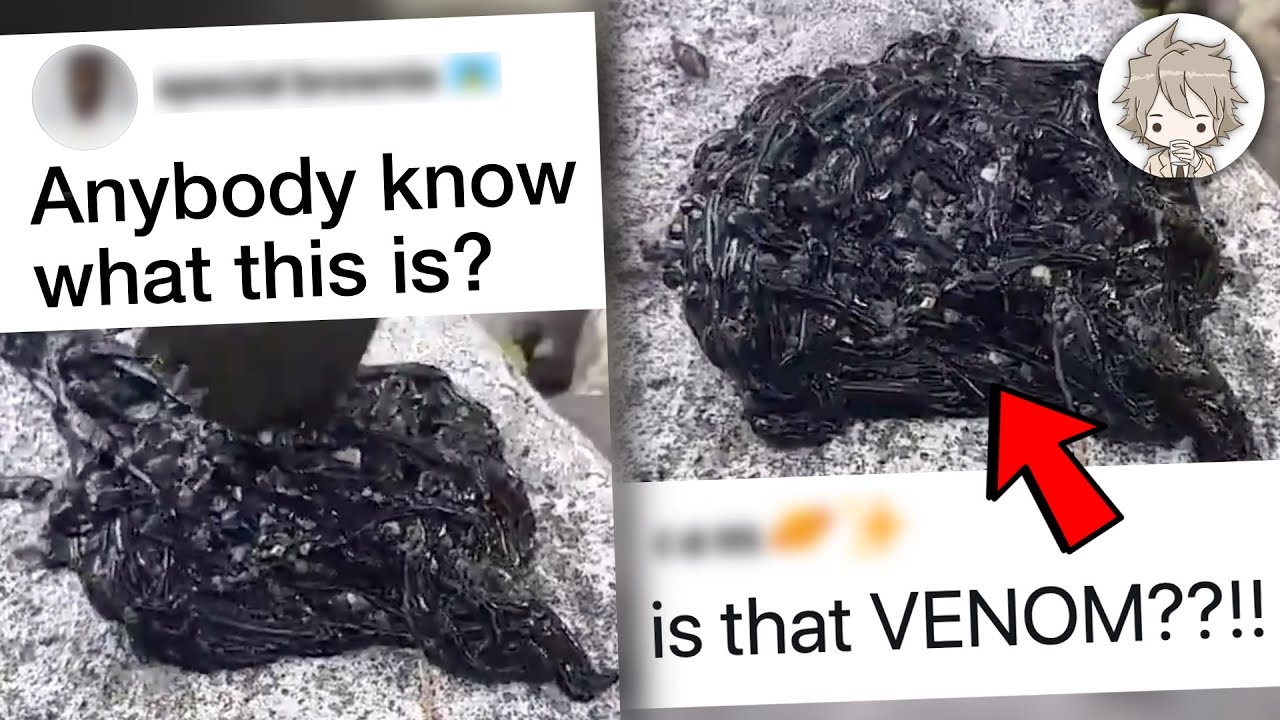  The Truth Behind The Viral Venom Video