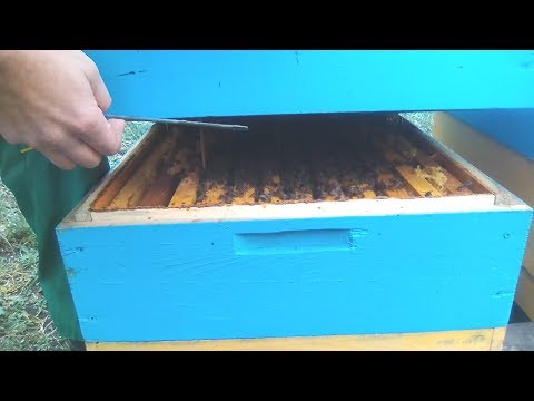Работы на пасеке