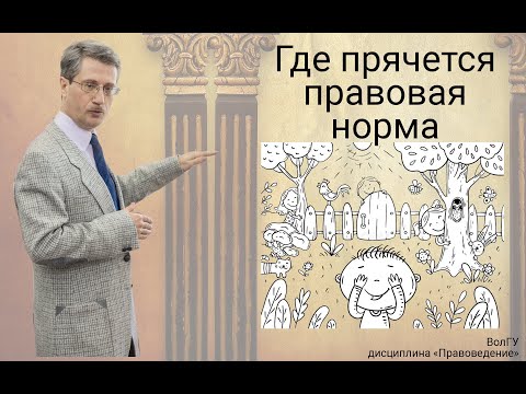 Где прячется правовая норма