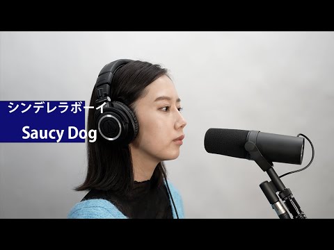 シンデレラボーイ covered by LUNAE