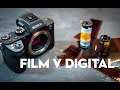 Film vs. Digital: Comparing Medium Format, 35mm, and Mirrorless | Photography Tips