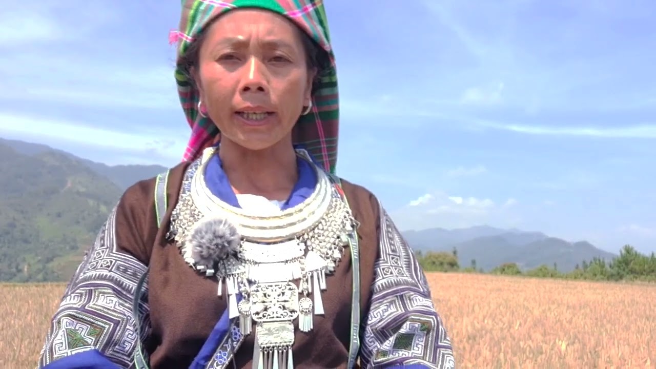 Zeb yaj kwv txhaj tawm tshiab kuv hu ntawm kuv lub nej qhub qhab