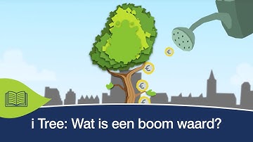 i Tree: Wat is een boom waard?