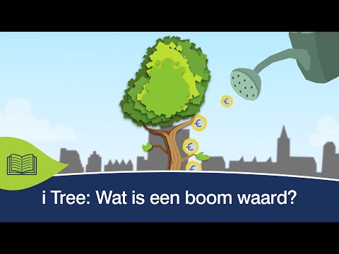 Video: Wat is een Mtree?