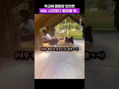 학교에 캠핑장 지었는데 분위기가..ㄷㄷ thumbnail