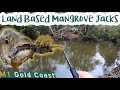 Land based Mangrove JACK Fishing Gold Coast | 2020 | Part 1