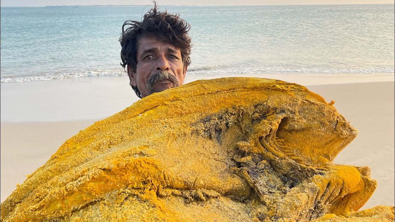 25 கிலோ பெரிய பட்டறை பாறை கருவாடு | Tradional Dry Fish Making Cutting Process| For Order 9500800272