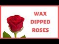 Wax Dipped Roses - How To Preserve Flowers - Preserved Roses DIY