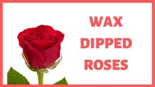 How to Make Wax Dipped Flowers