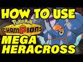 HOW TO USE MEGA HERACROSS! Mega Heracross Moveset Guide / Best Heracross Builds Pokemon Champions