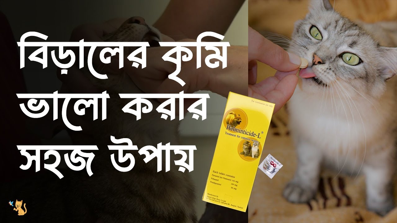 বিড়ালের কৃমির ঔষধ - Cat Deworming -  Helminticide L - Pet House BD
