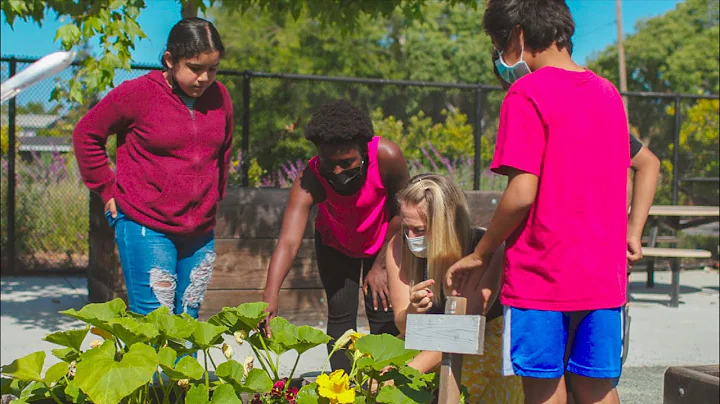 Stanford students collaborate in local classrooms - DayDayNews