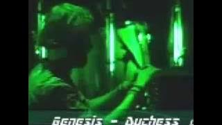 Genesis: ''Duchess'' live'80 (rare)