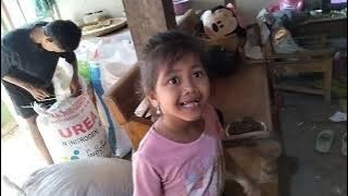 Grandma's mother ate corn - she immediately went to Grandma's house