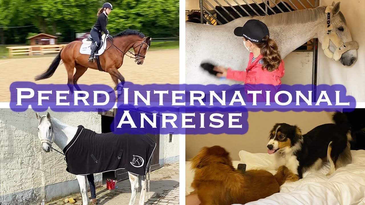 Pferd International Anfahrt