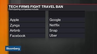 Tech Firms Unite Against Trump's Immigration Order Tech Firms Unite Against Trump's Immigration Order
