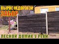 Вырос ЗАБОР на лесном домике у реки у художника в деревне. Дешевый и быстрый ЗАБОР.