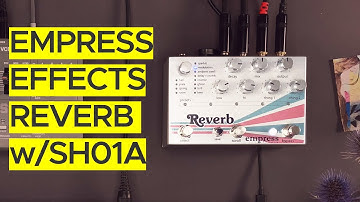 Empress Effects Reverb Sound Demo (no talking) with Roland SH01a