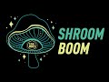 Shroom Boom — The Psychedelic Stocks We’re Buying