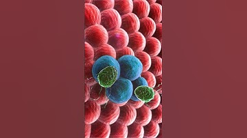 Tại sao gluthathione lại quyết định người già sống thọ và trẻ lâu #duocsilan #suckhoe #thaidocgan