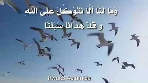 الآية 12 من سورة ابراهيم 🌷